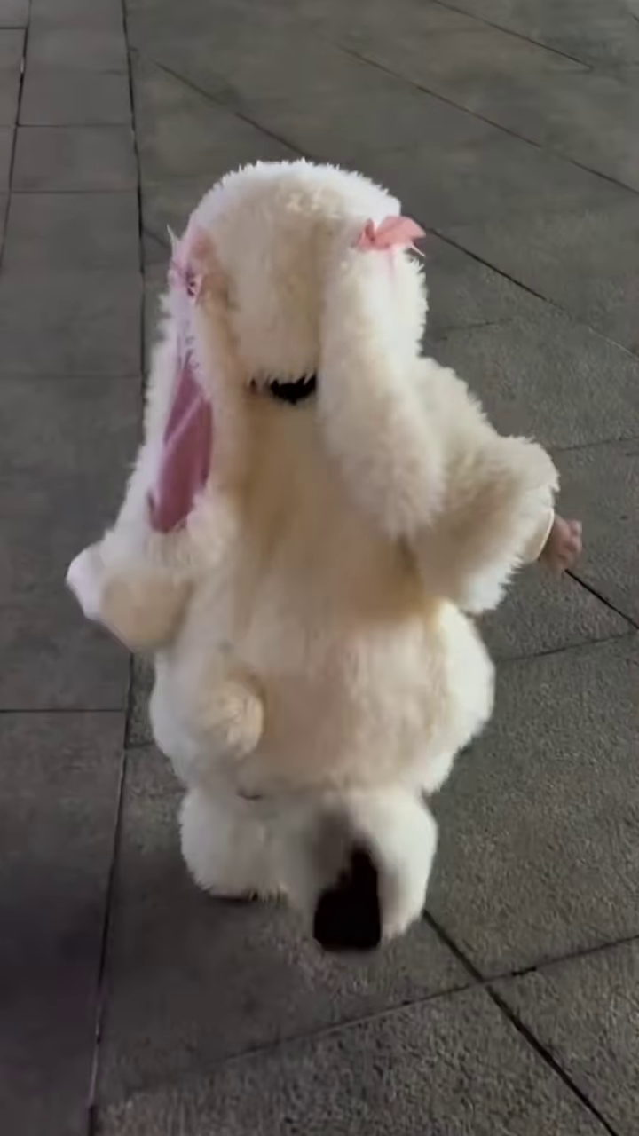 Fluffy Animal-Themed Kids' Costumes π°π¦π¦ β Bunny, Shark & Dino Variants - Image 2