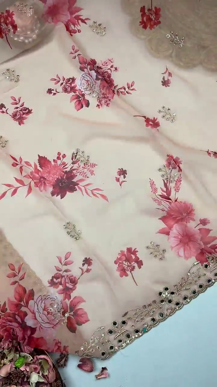 Peach Blossom Saree with Scalloped Mirror-Work Border - Image 4