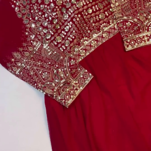 Majestic Ruby Red Anarkali with Concentric Geometric Zari Border