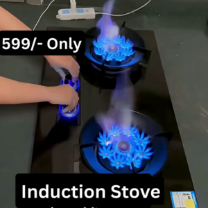 Dual Burner High-Efficiency Induction Stove