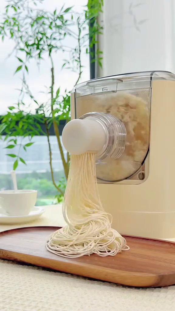 Automatic Fresh Pasta and Noodle Maker Machine